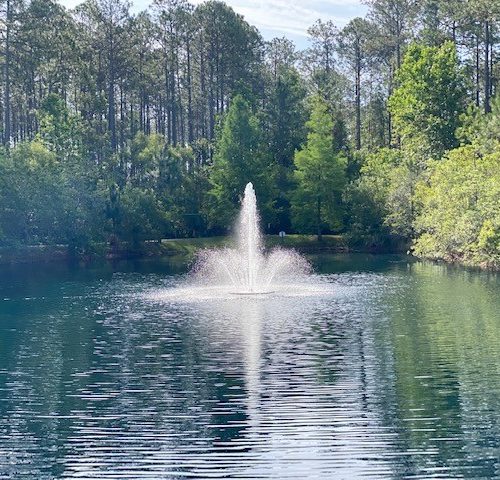 Johns Creek Fountain